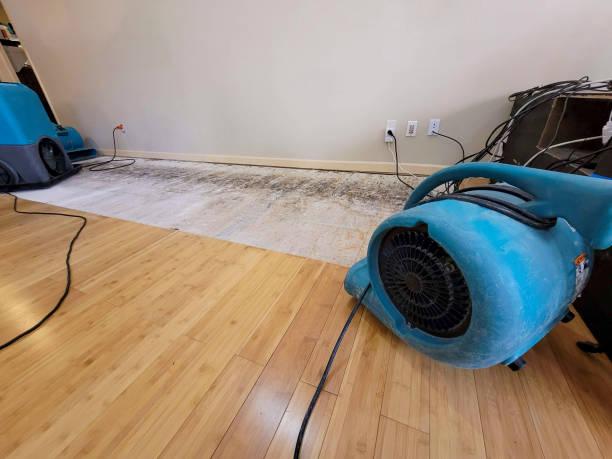 Professional Burst Pipe Water Damage technician working in Warner Springs, CA